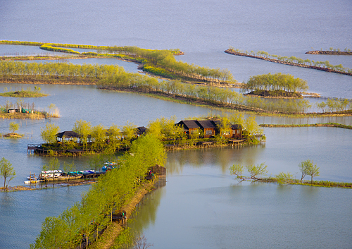 湿地